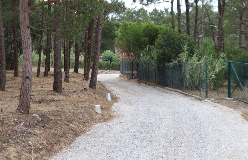 Arrendo terreno em Janas