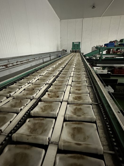 Calibrador  macas greefa