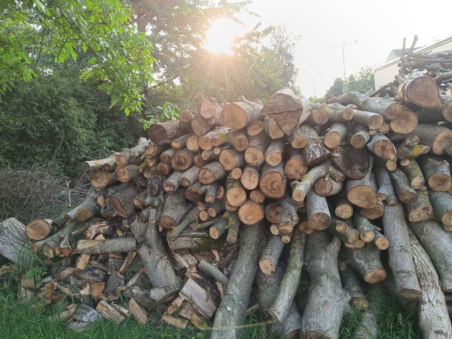 Sprzedam drewno opałowe orzech
