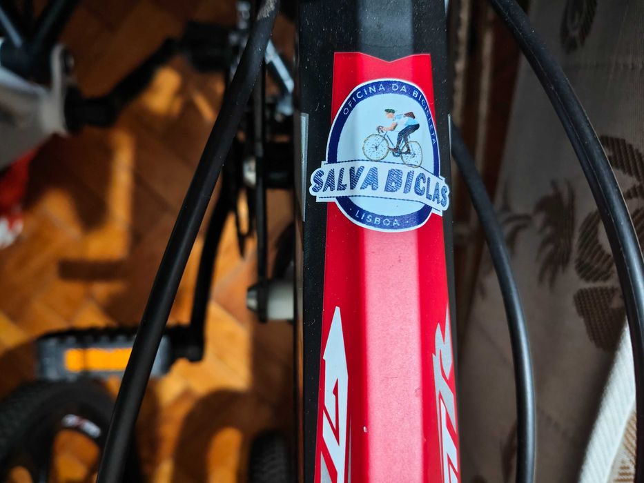 Bicicletas (2), dobrável com revisão.