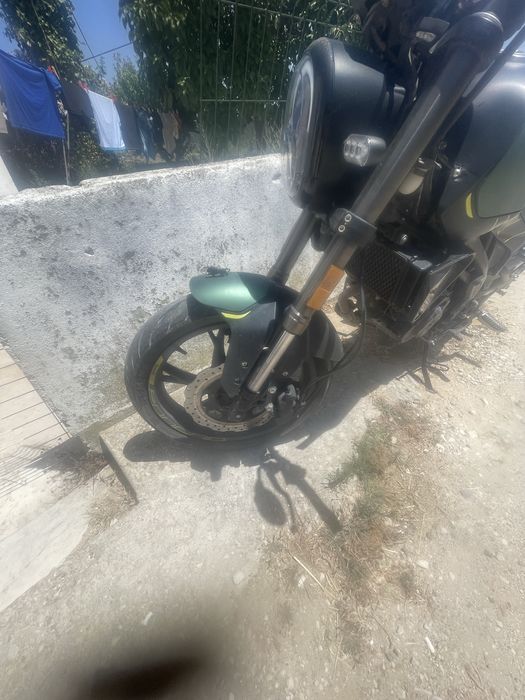 Benelli leoncino