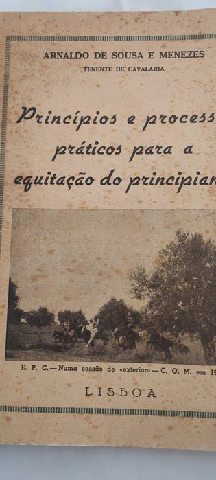 Processos práticos para equitação principiantes