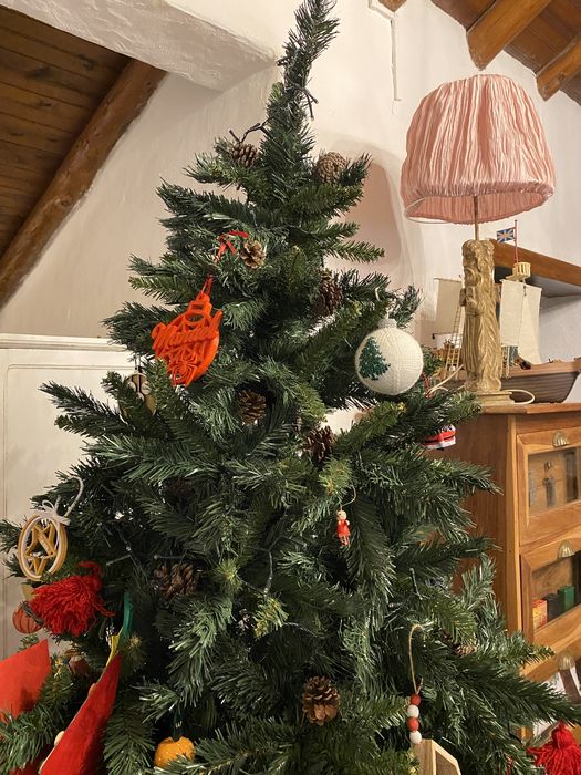 Pinheiro de natal
