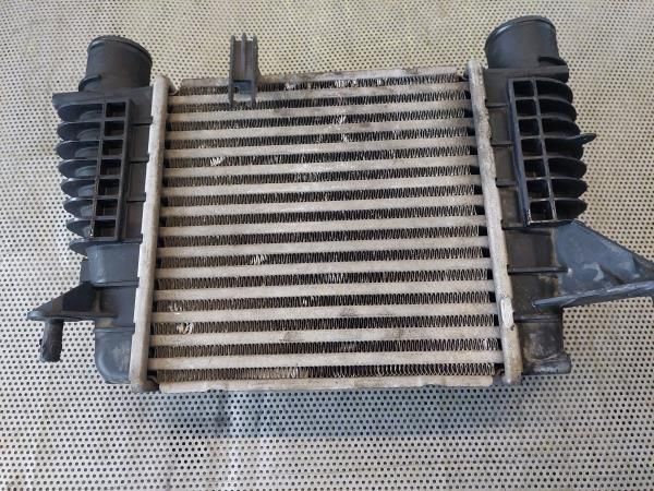 Radiador do intercooler RENAULT Clio III (BR0/1, CR0/1)