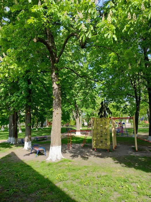 Здаю в оренду земельну ділянку 10соток м. Ічня