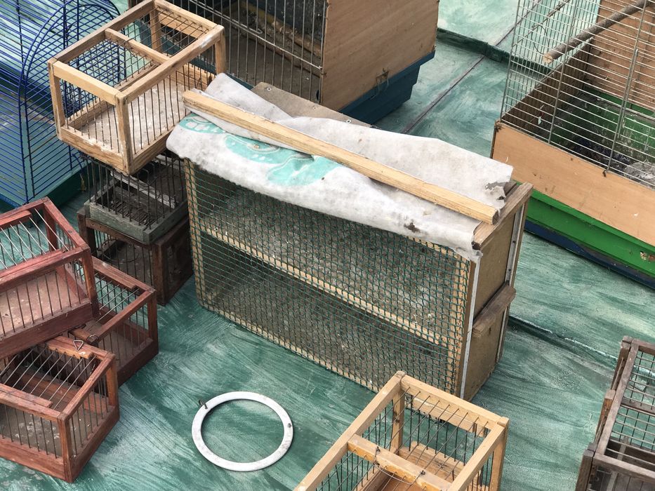 Клітки для птахів різного призначення та розміру