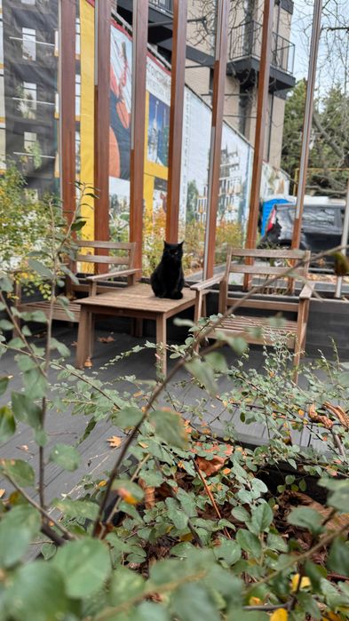 Лучшая квартира в Пространстве на Дачной 47 кв м с террасой ВП