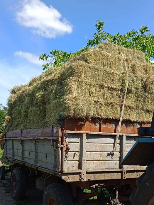 Продам сіно в тюках