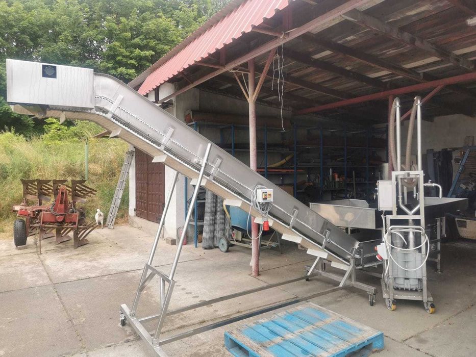 Linia do czyszczenia kapusty