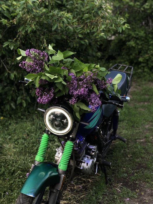 Обмен VIPER ZS125j