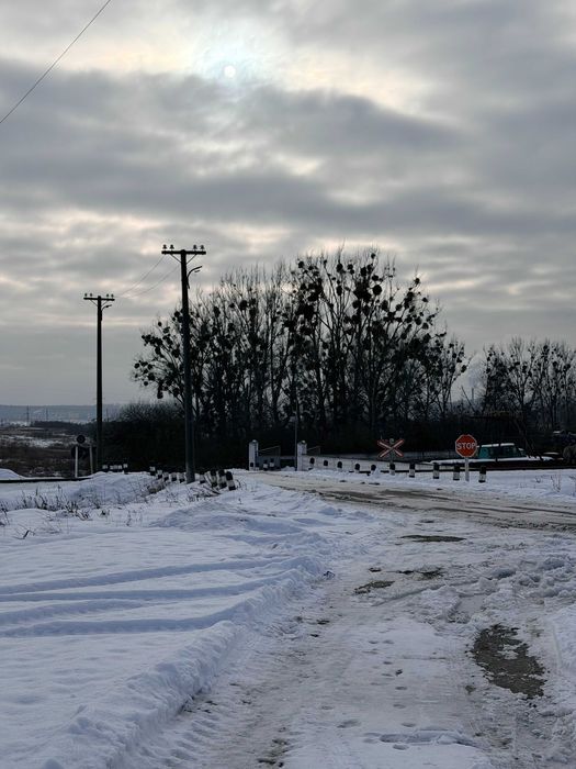 Продаж земельної ділянки поблизу Львова у с. Муроване 55 соток