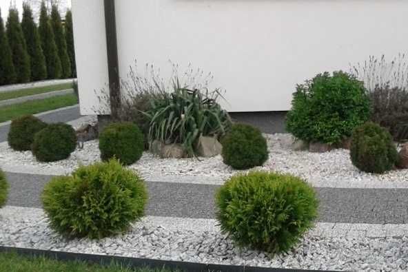 Grys granitowy 16-22 mm granit kamień ozdobny ogrodowy dalmatyńczyk