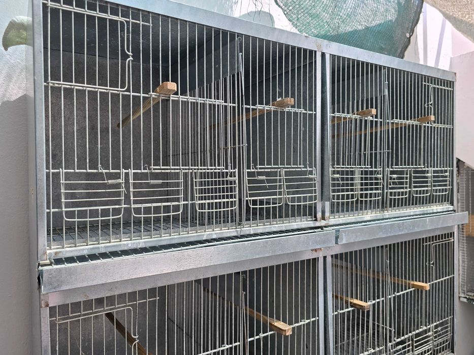 Viveiros/Gaiolas de criação aves