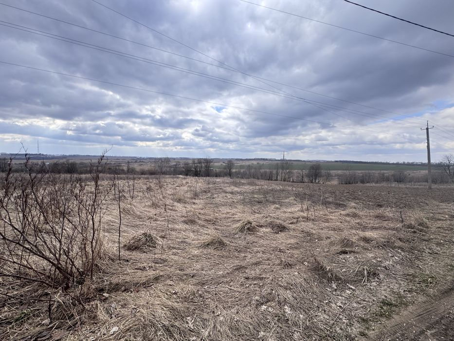 Продам земельну ділянку в Лісових Гринівцях