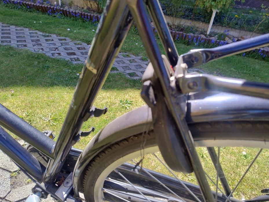 Stylowy rower damski Altra Basic