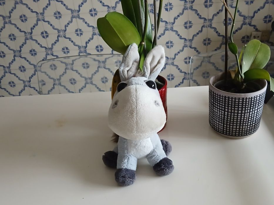Coleção animais da quinta