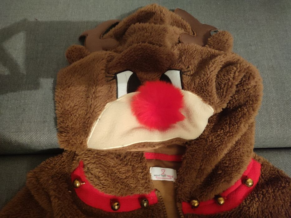 Świąteczna bluza renifer