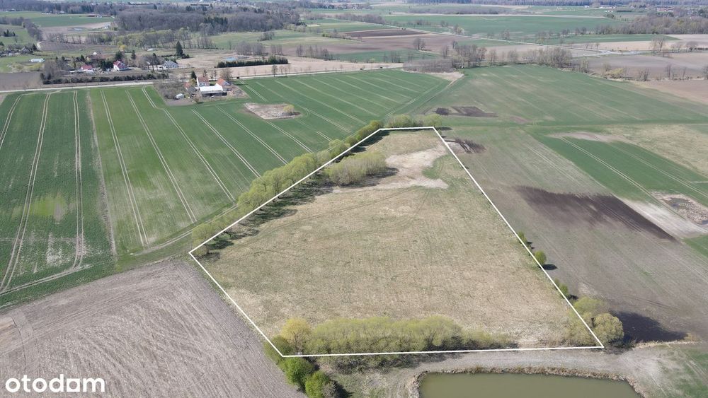 Działka rolna 2,19 ha pod Bartoszycami - Plęsy