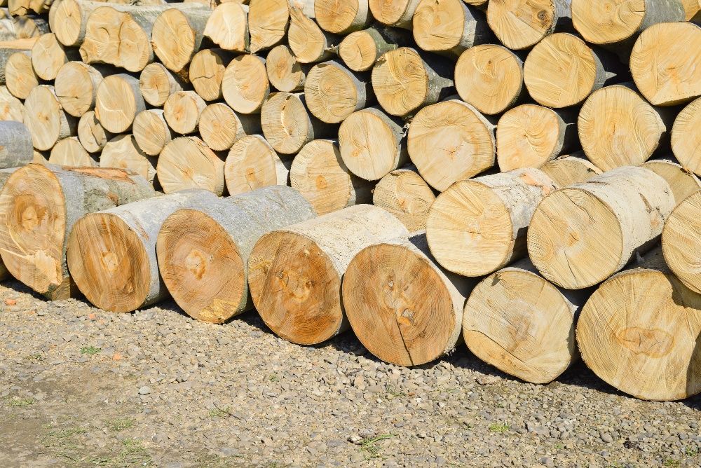 Drewno Kominkowe i Opałowe | Transport Gratis