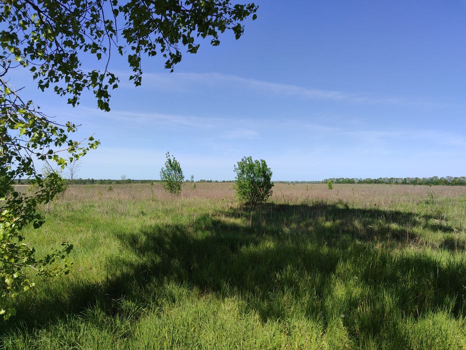 БЕЗ Комісії! Зем. Ділянка, Сосонка, 10 сот.!