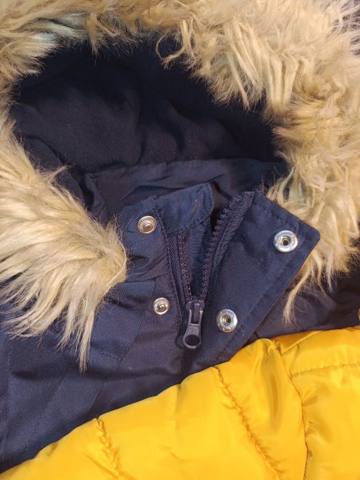 Kurtki, kamizelka, kombinezon paka kurtek