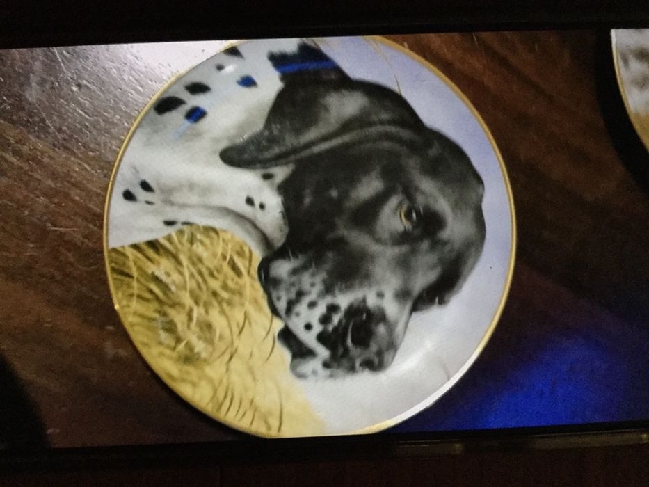 Conjunto de 3  pratos decorativos