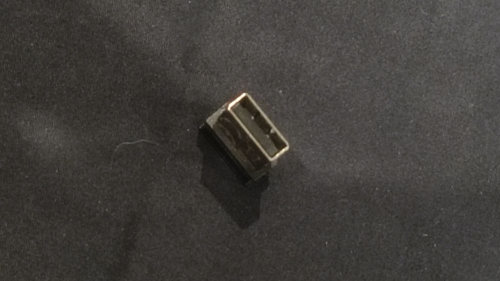 Receptor de rato Hama