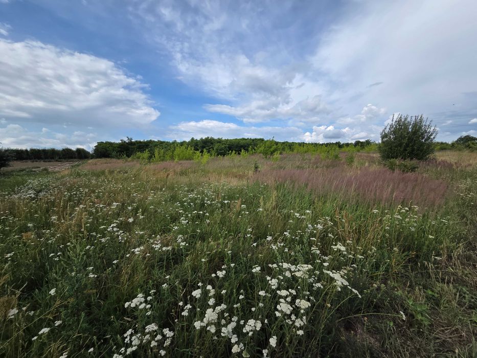 Dzialka rolna 12000 m² przy drodze asfsltowej wszystkie media - Widok 2