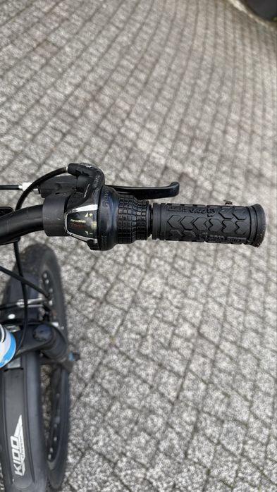 Giant XtC Jr 20, dziecięcy rower górski z kołami