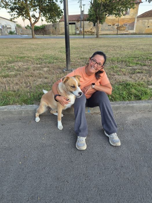Pet Sitter dedicada/o para o seu animal de estimação