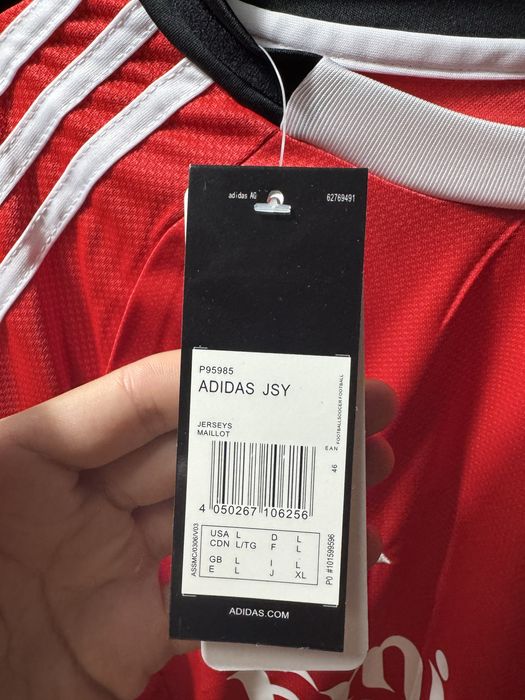 Camidola principal benfica 25/25