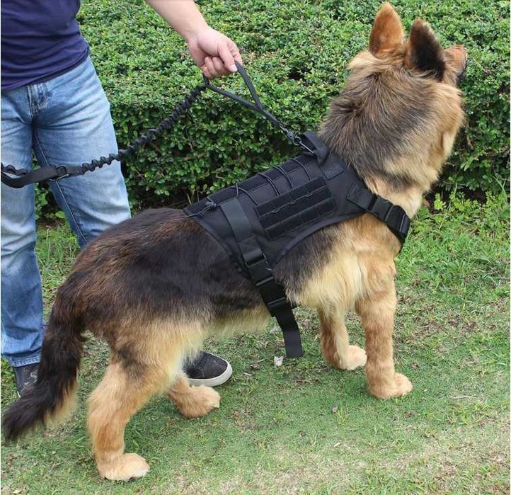 Arnês Peitoral para Cão
