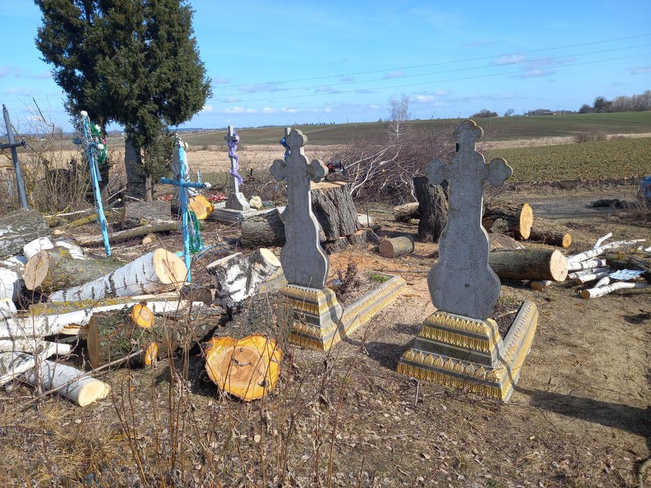 Спил, зрізання, видалення, обрізка аварійних дерев, арбористика