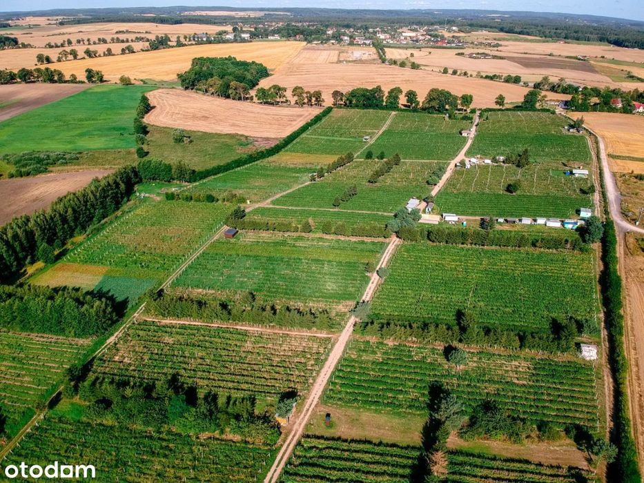 Malownicze działki budowlane ok. 1000 m² do 1500 m² - Widok 3