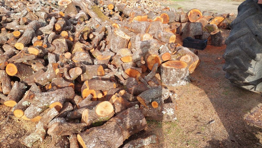 Lenha enxuta de Azinho seco - Lareira - Recuperador - salamandra