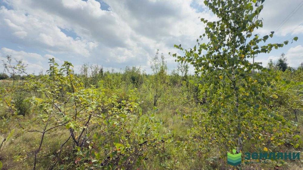 Продається ділянка 12 сот у Братківцях (12)