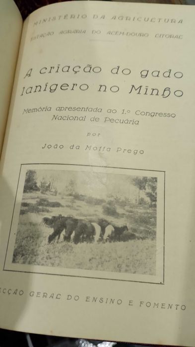 Minho etc, Agricultura, Pecuária 1928 Congresso 9 unidades