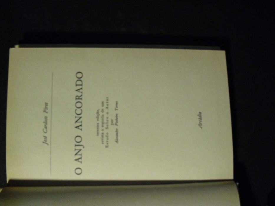 Pires (José Cardoso);O Anjo Ancorado