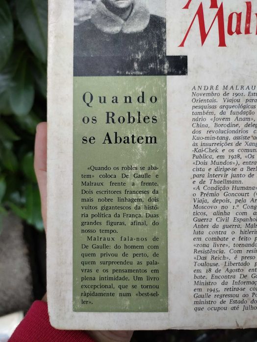 Quando os Robles se Abatem (André Malraux)