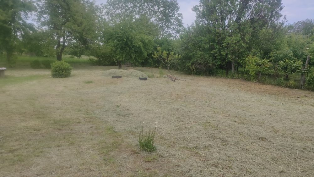 Будинок в центрі Диканьки