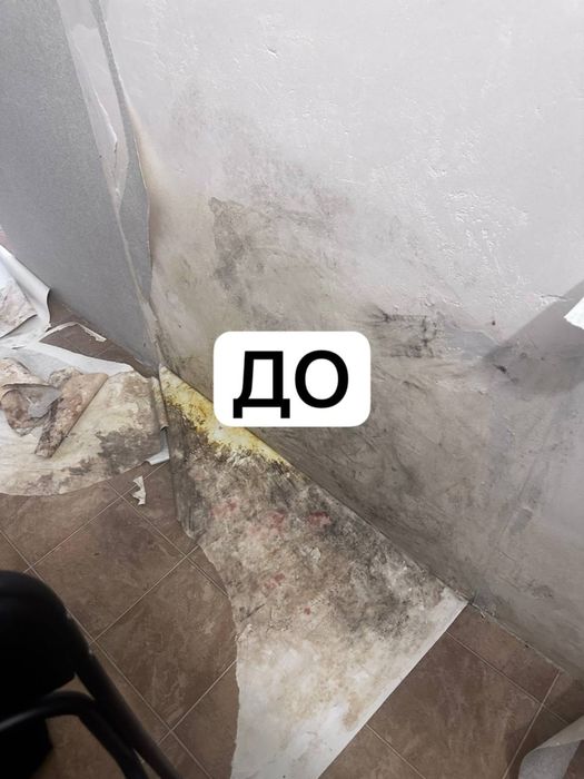 Удаление плесени , удаление грибка - Озонирование помещения !
