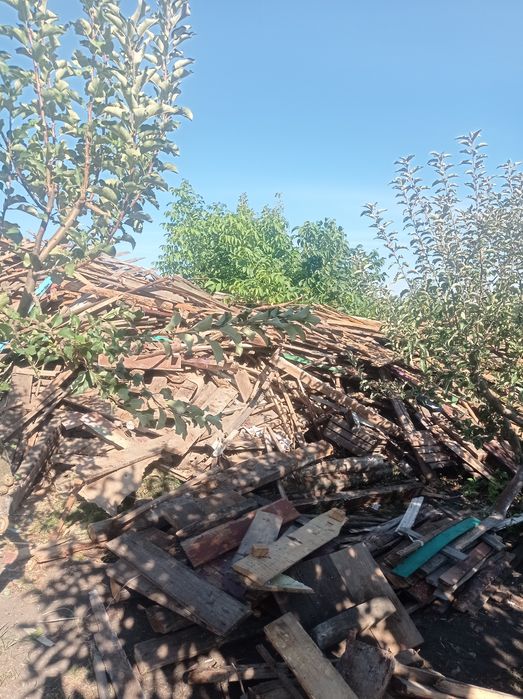 Продам  сухі дрова