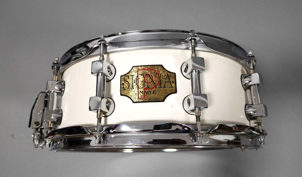 Werbel Premier Signia Maple 14×5,5" – Made in England
