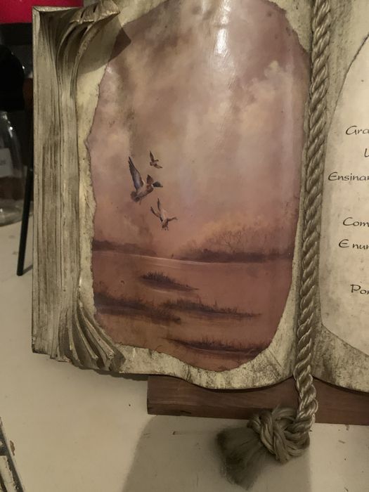 Livro com dedicatoria