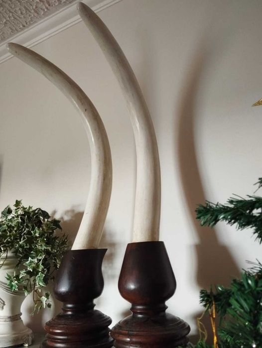 Par de Presas em Madeira Antiga