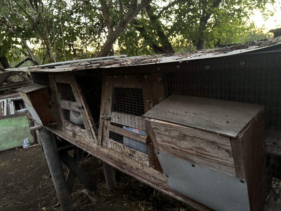 Клітки для кролів