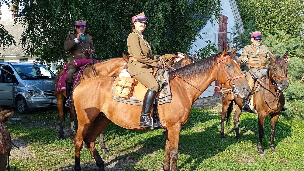 Sprzedam dwie klacze!