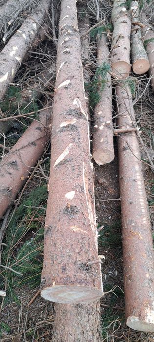 Stemple budowlane żerdzie świerkowe każda długość