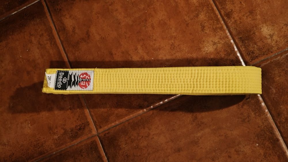 Kimono (Dobok) completo - Dae Do International - Taekwondo Ofici