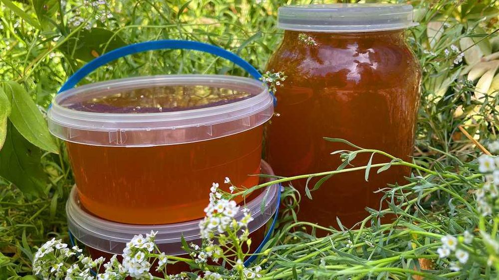 продам квітковий мед